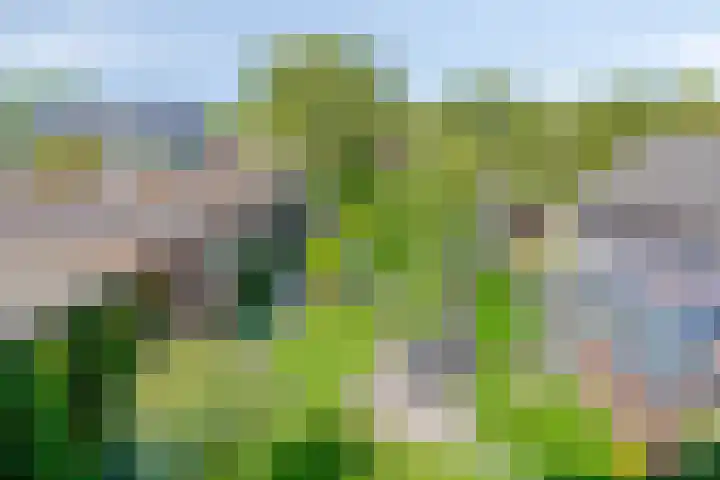 Hoogveldweg 7 's-Hertogenbosch thumbnail 23