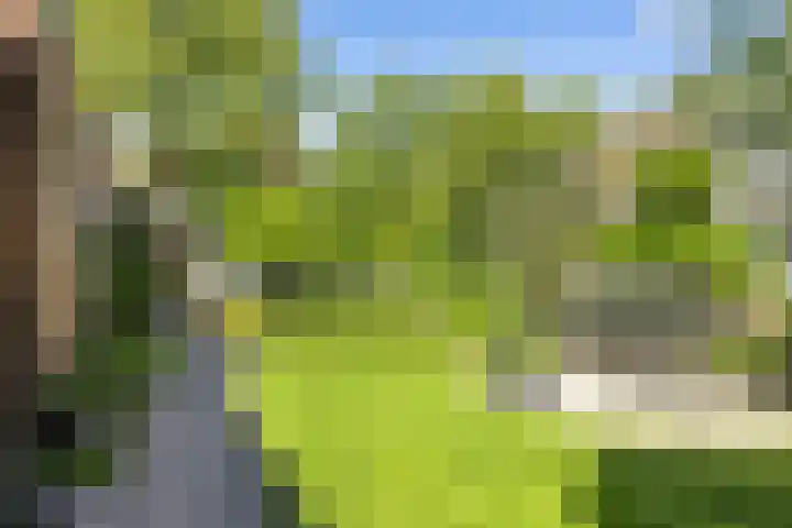 Hoogveldweg 7 's-Hertogenbosch thumbnail 29