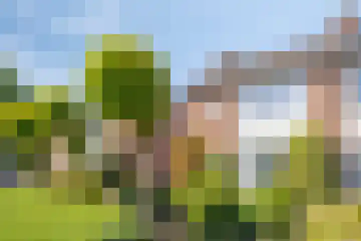Hoogveldweg 7 's-Hertogenbosch thumbnail 5
