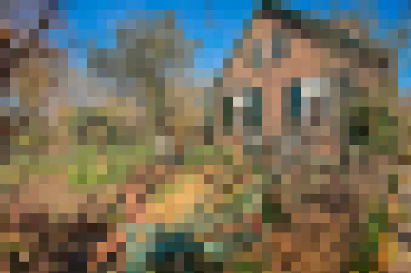 Hoogveldweg 9 Bruchem thumbnail 10
