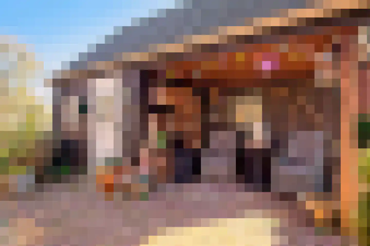 Hoogveldweg 9 Bruchem thumbnail 15