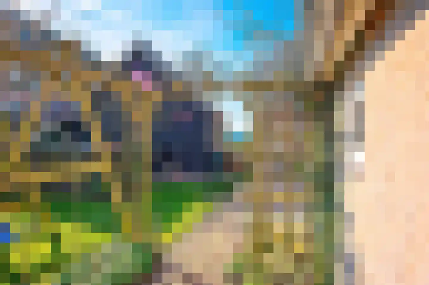 Hoogveldweg 9 Bruchem thumbnail 18