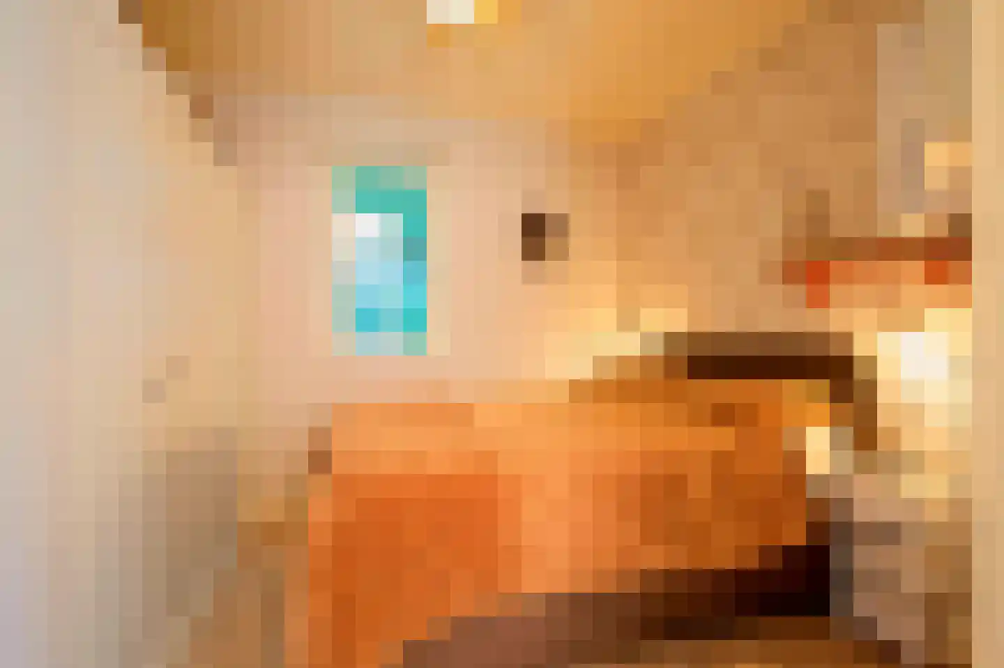 Hoogveldweg 9 Bruchem thumbnail 32
