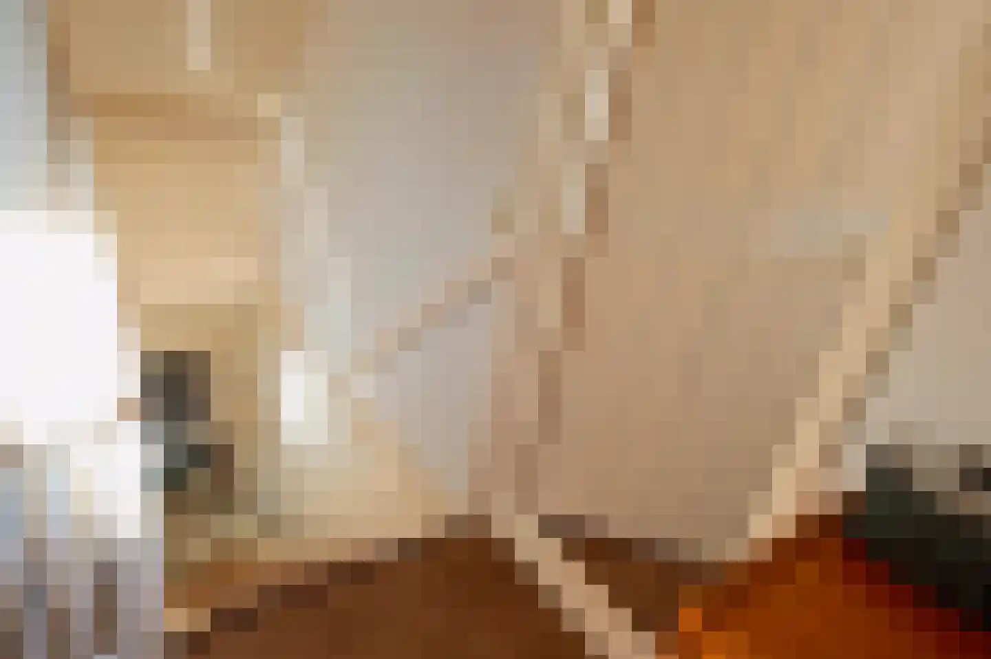 Hoogveldweg 9 Bruchem thumbnail 43