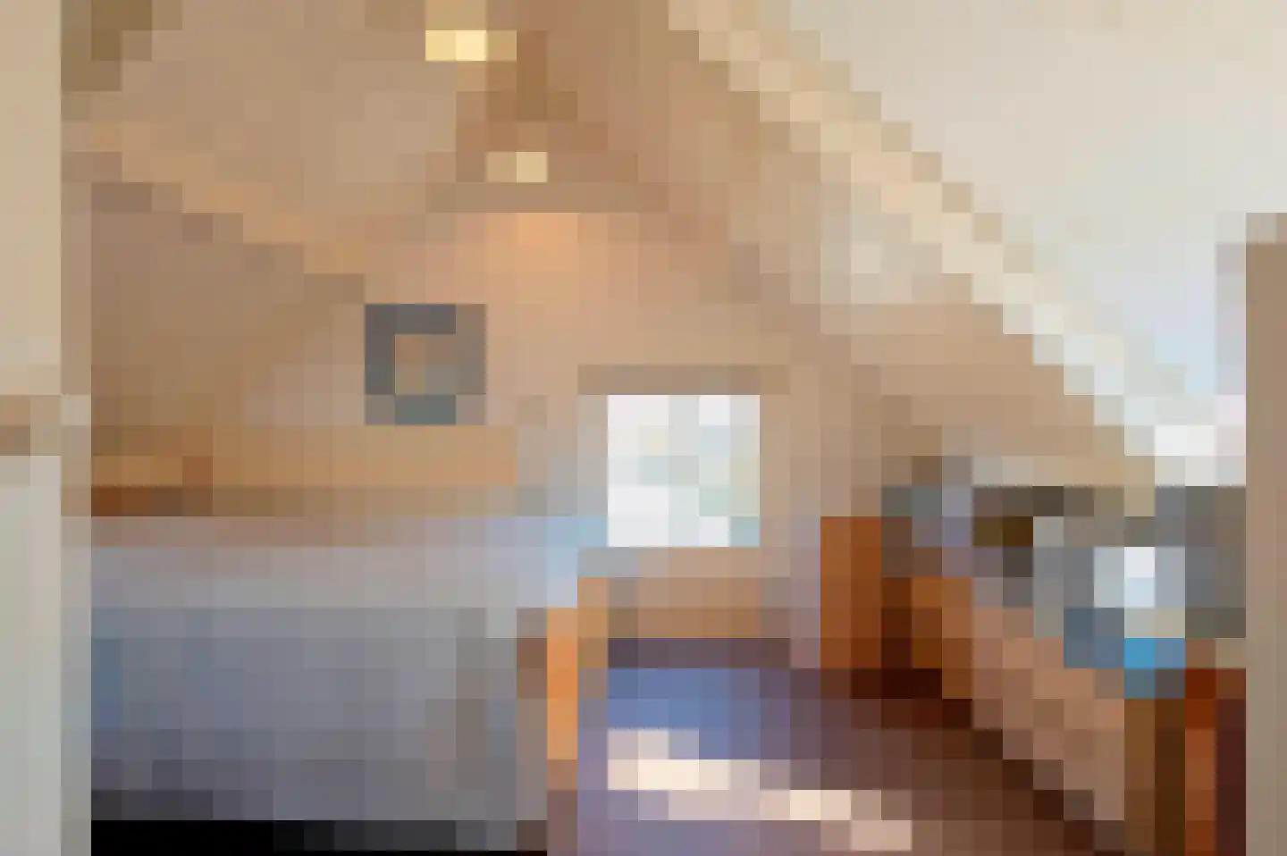 Hoogveldweg 9 Bruchem thumbnail 45