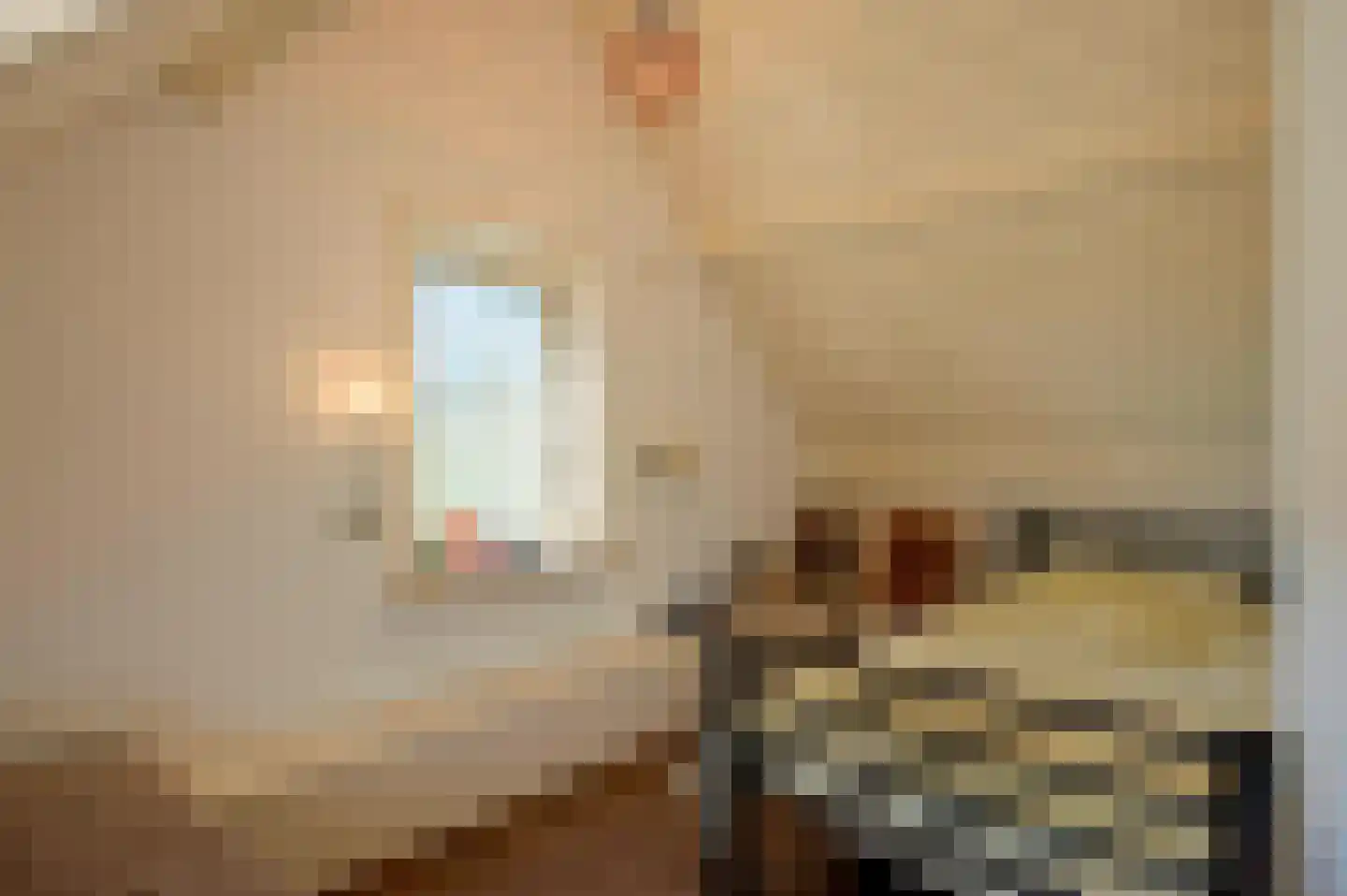 Hoogveldweg 9 Bruchem thumbnail 47