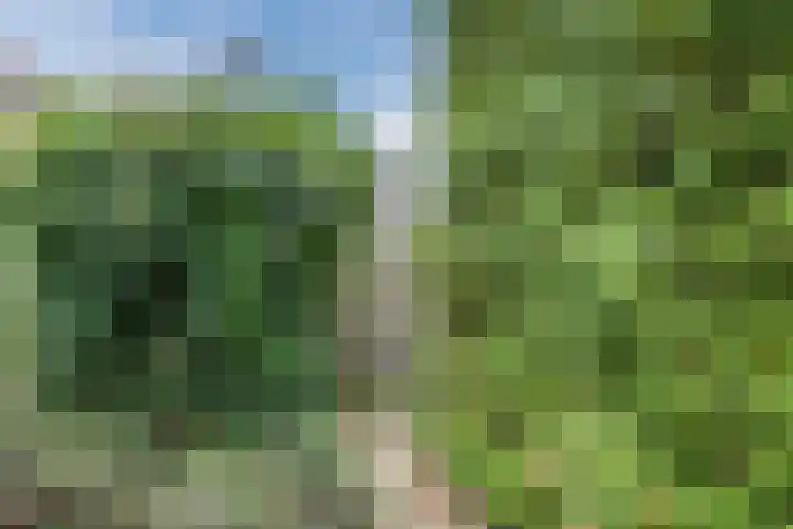 Hoogven 1 Enschede thumbnail 32