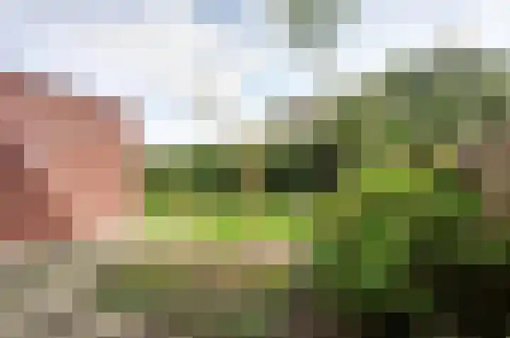 Hoogven 12 Enschede thumbnail 24