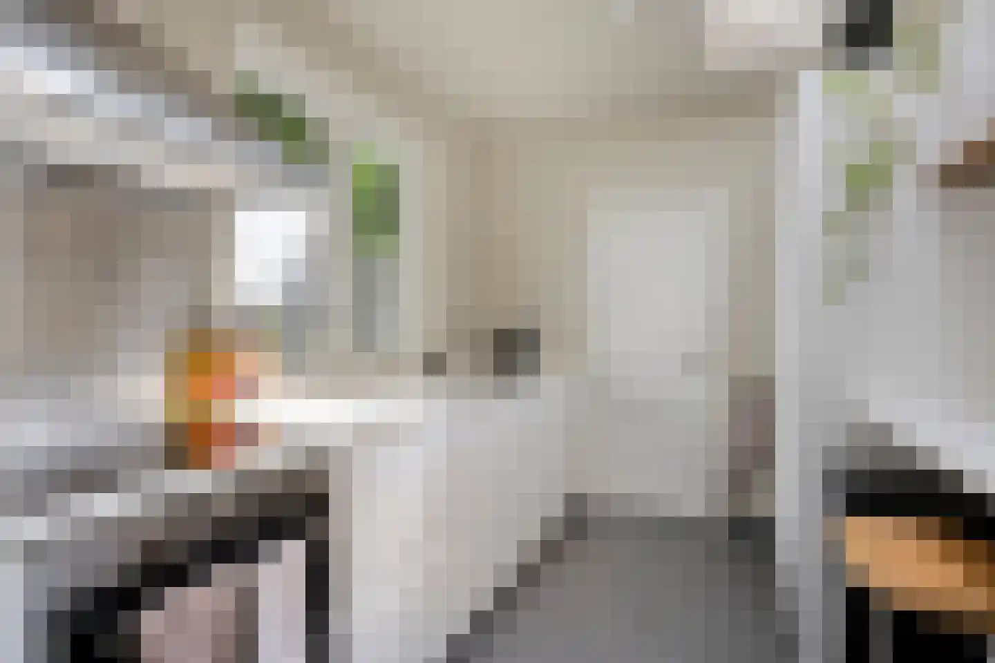 Hoogvensestraat 110 Tilburg thumbnail 17