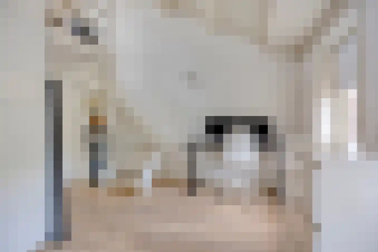 Hoogvensestraat 110 Tilburg thumbnail 32