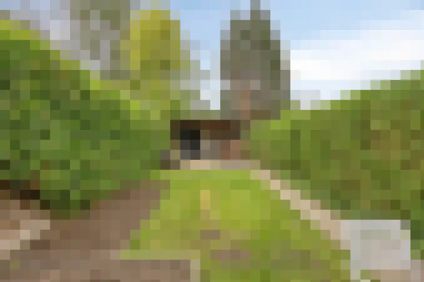 Hoogvensestraat 110 Tilburg thumbnail 39