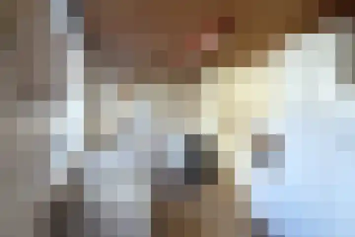Hoogvensestraat 66 Tilburg thumbnail 13