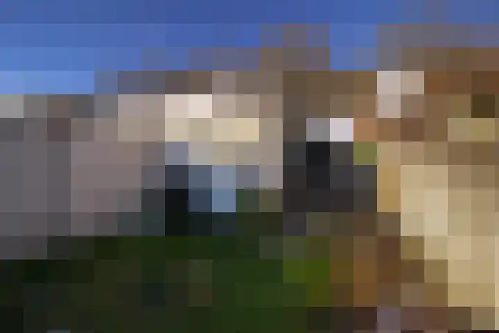 Hoogvensestraat 66 Tilburg thumbnail 28