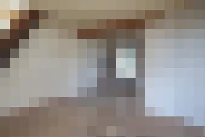 Hoogvensestraat 66 Tilburg thumbnail 5
