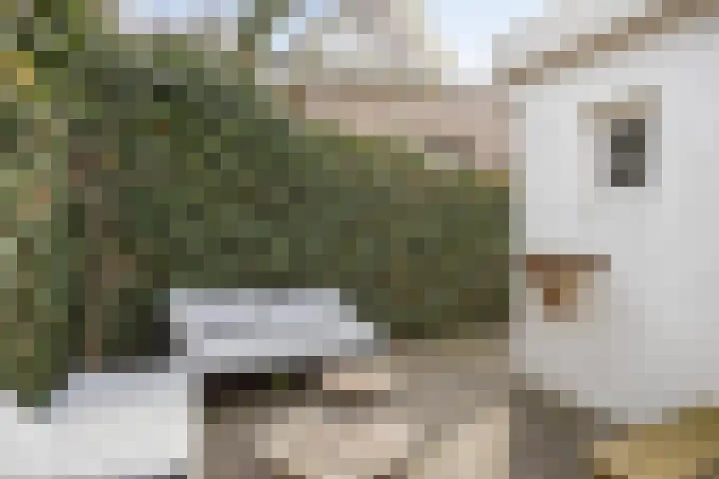 Hoogvensestraat 67 Tilburg thumbnail 28