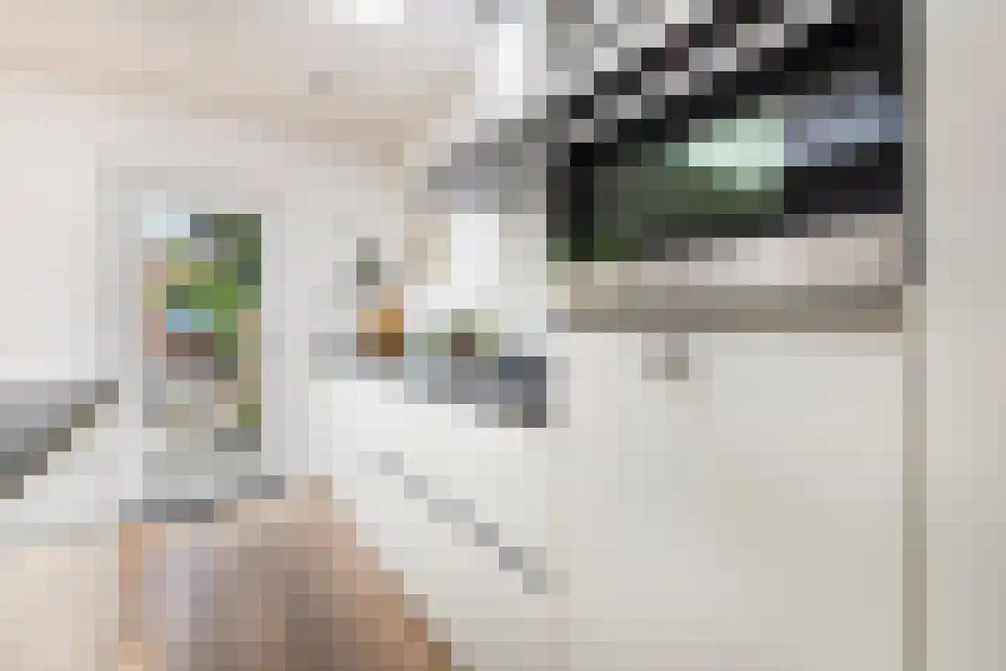 Hoogvensestraat 7 c Tilburg thumbnail 22