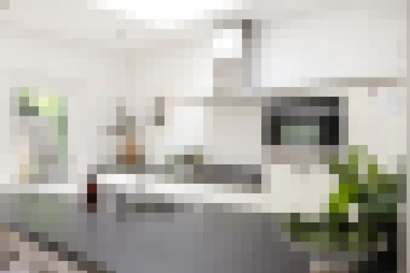 Hoogvensestraat 7 c Tilburg thumbnail 23
