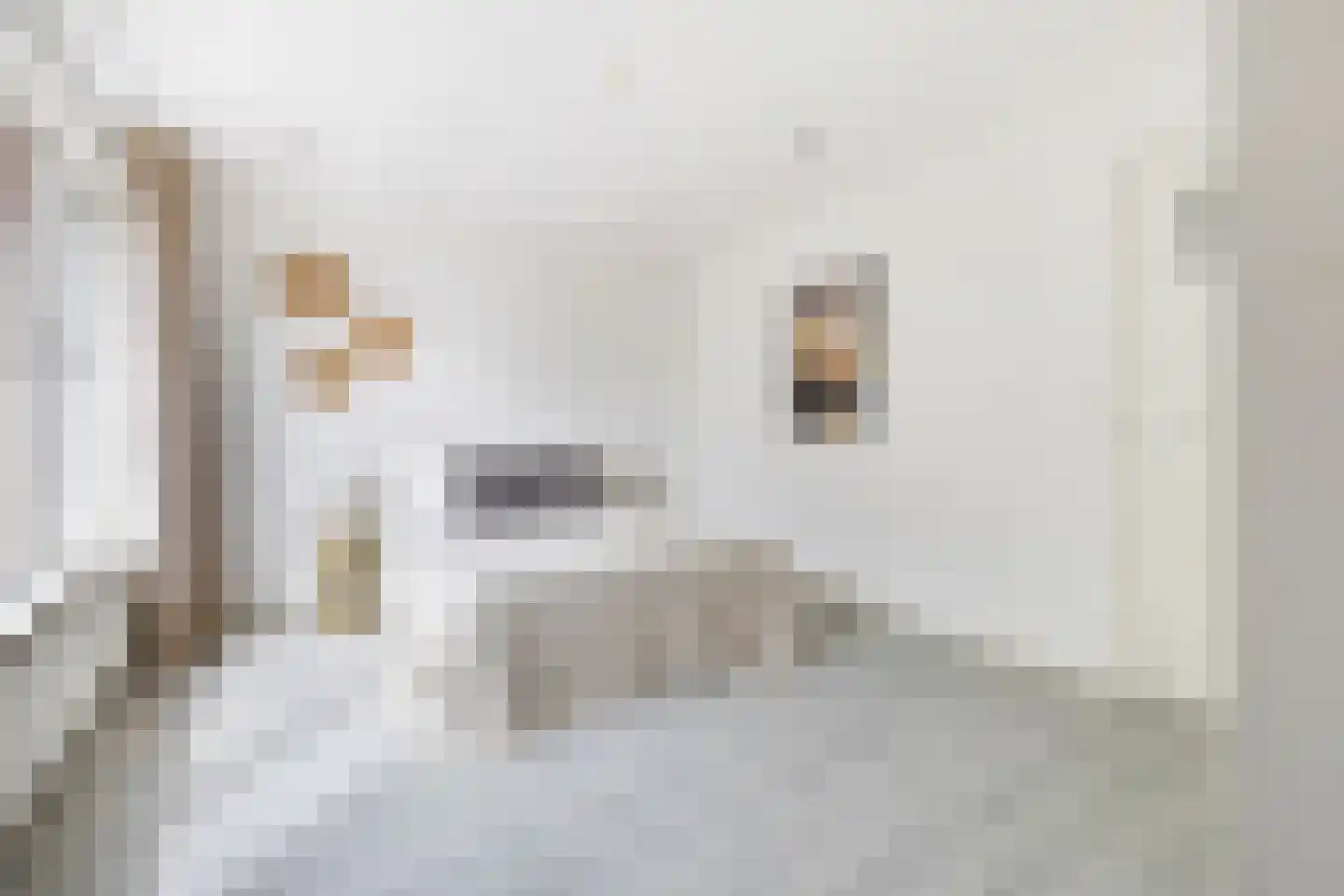 Hoogvensestraat 7 c Tilburg thumbnail 30