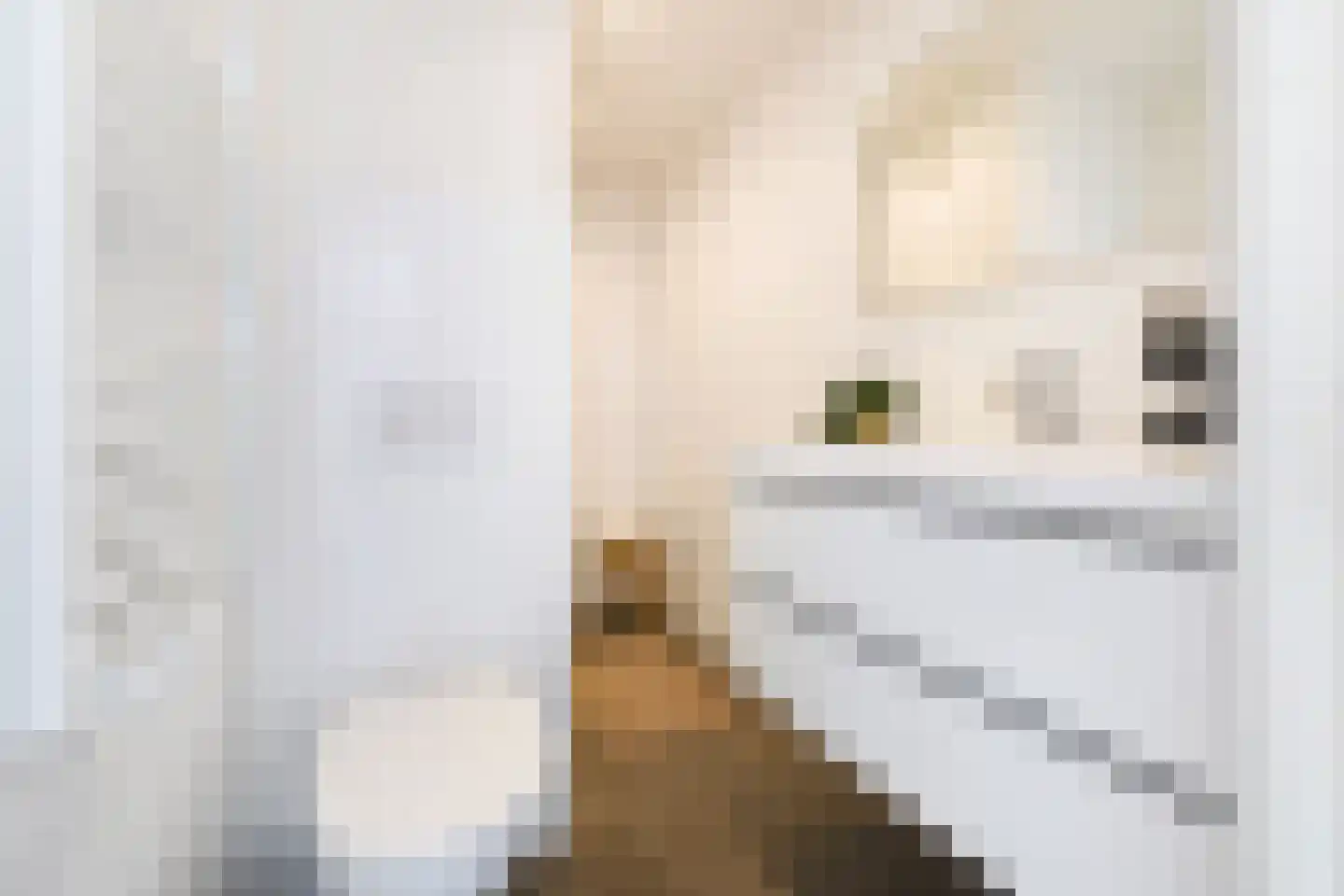 Hoogvensestraat 7 c Tilburg thumbnail 39