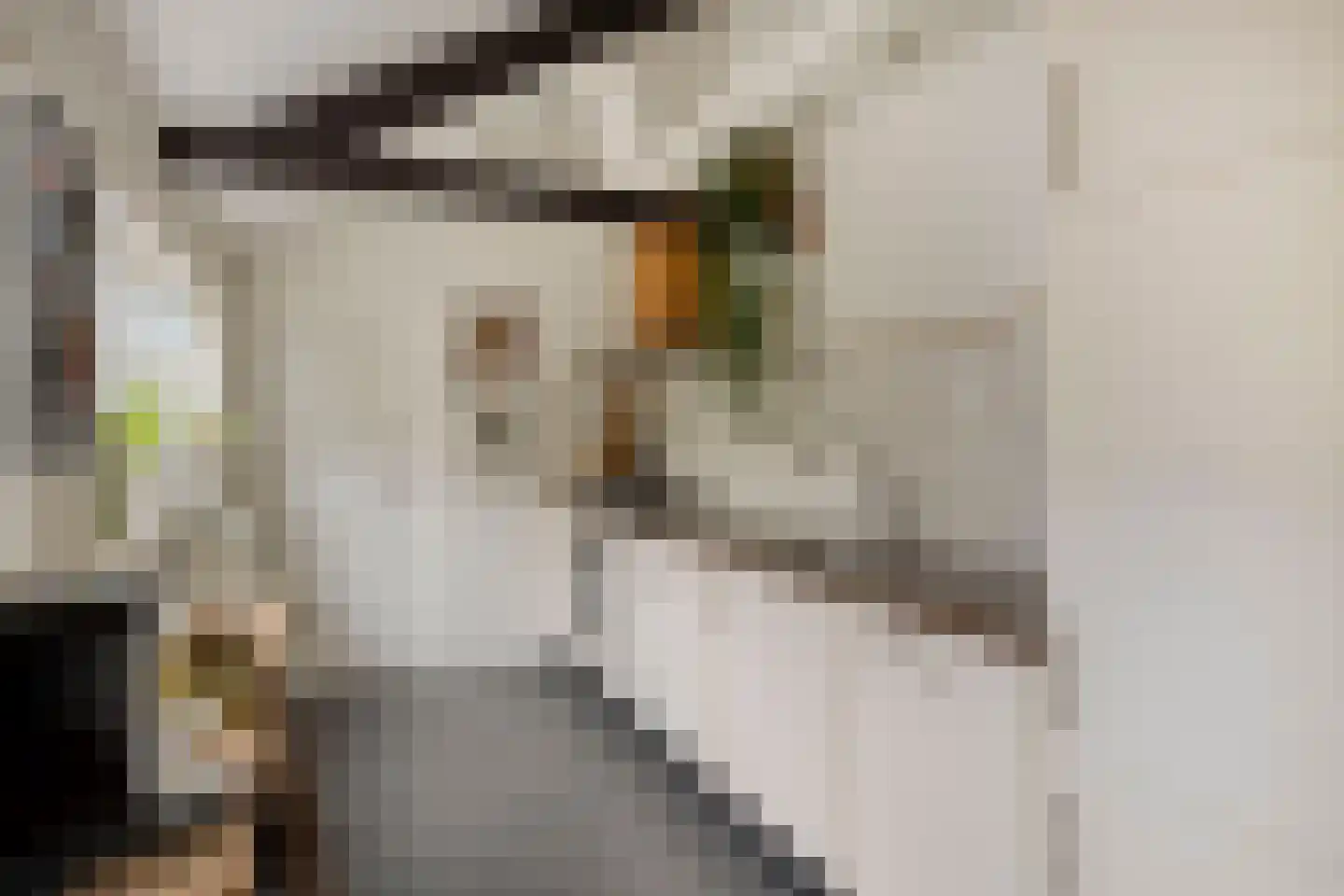 Hoogvensestraat 78 Tilburg thumbnail 11