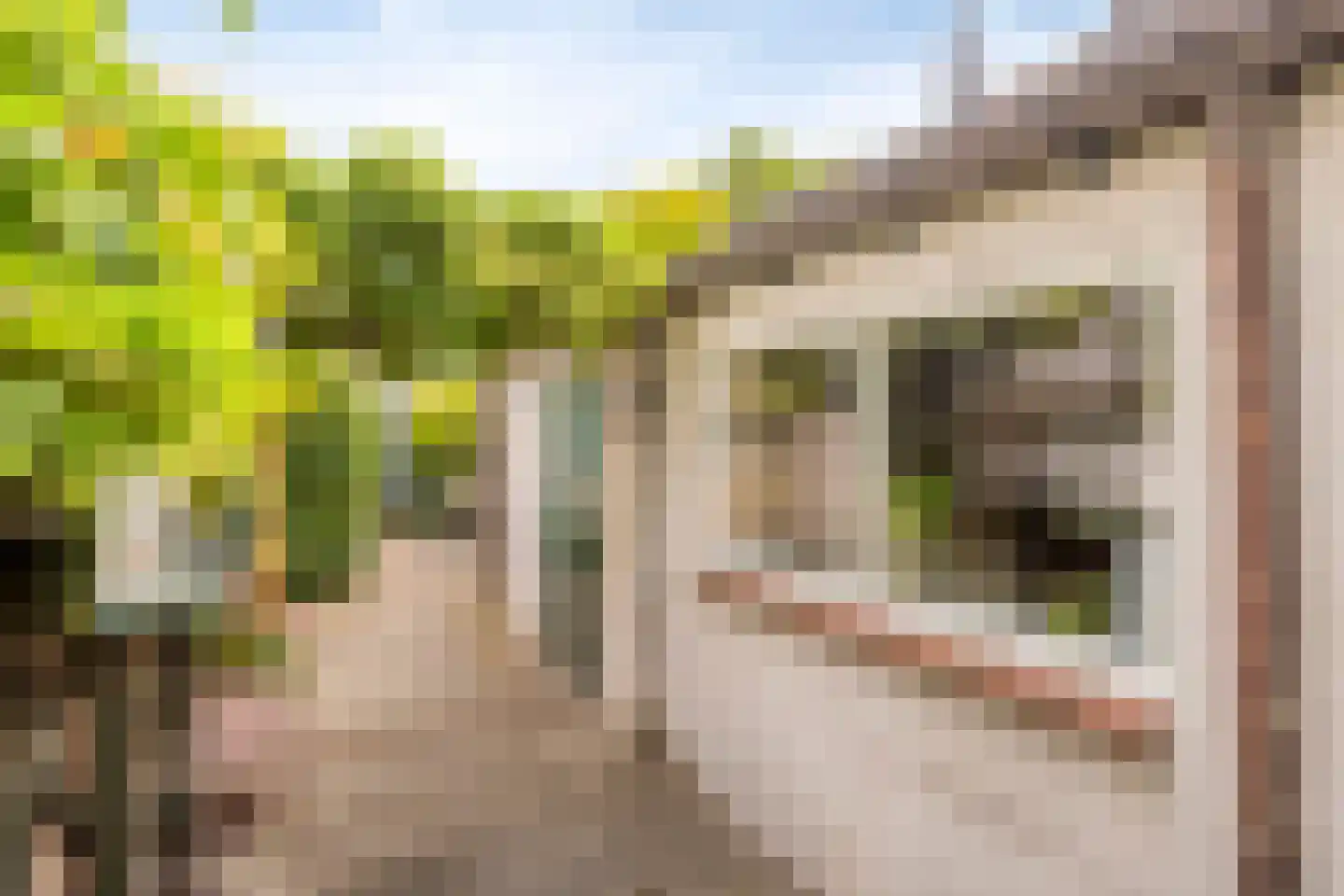 Hoogvensestraat 78 Tilburg thumbnail 25