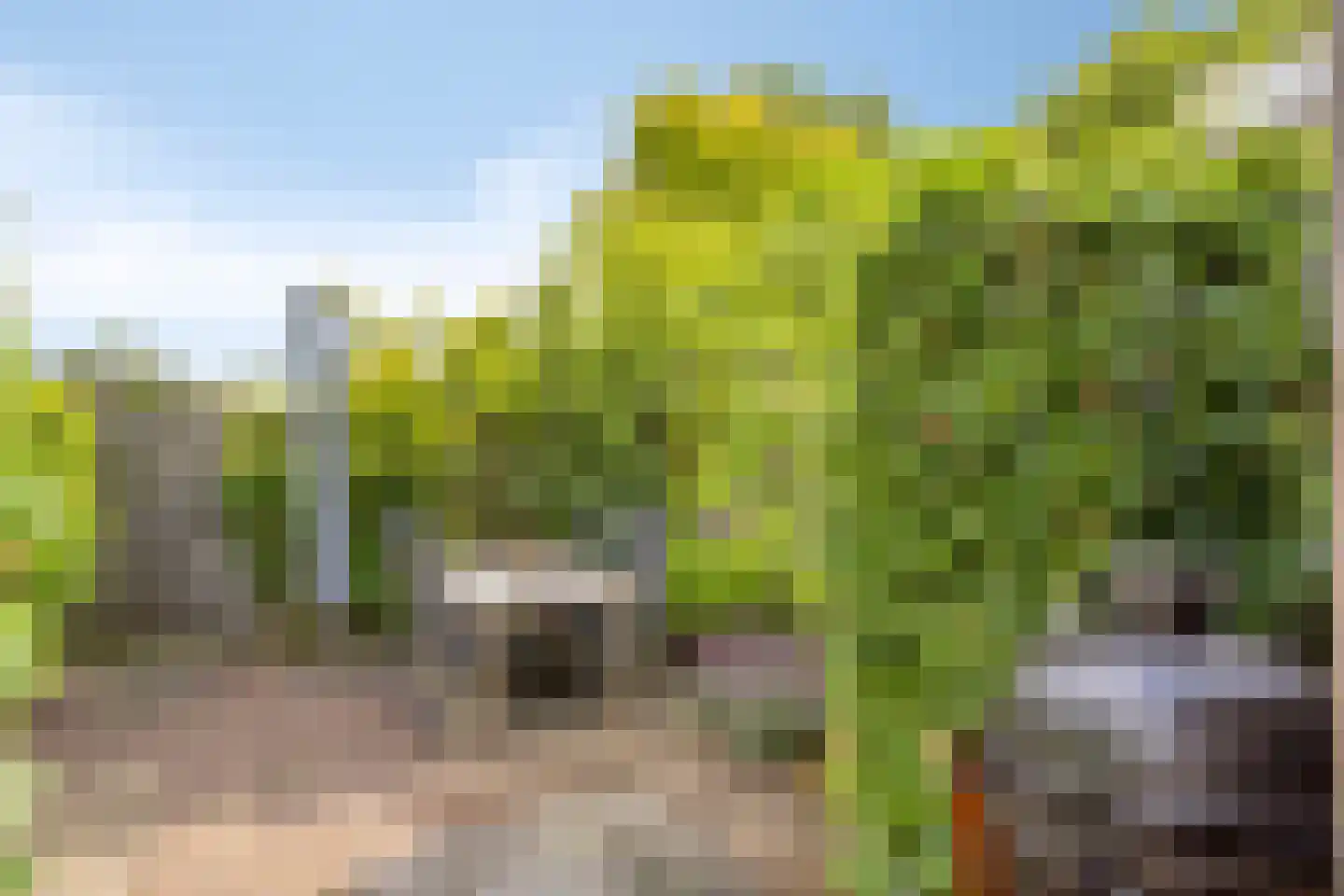 Hoogvensestraat 78 Tilburg thumbnail 26