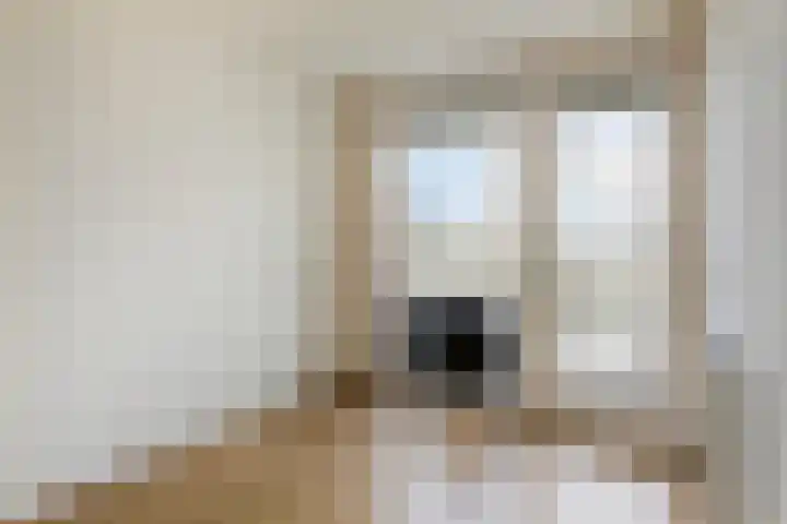 Hoogvensestraat 81 b Tilburg thumbnail 19