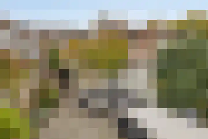 Hoogvensestraat 88 Tilburg thumbnail 23