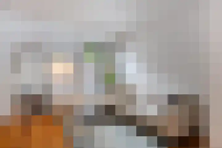 Hoogvensestraat 88 Tilburg thumbnail 7