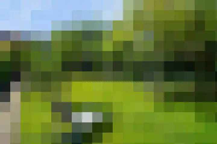 Hoogvensestraat 98 Tilburg thumbnail 57