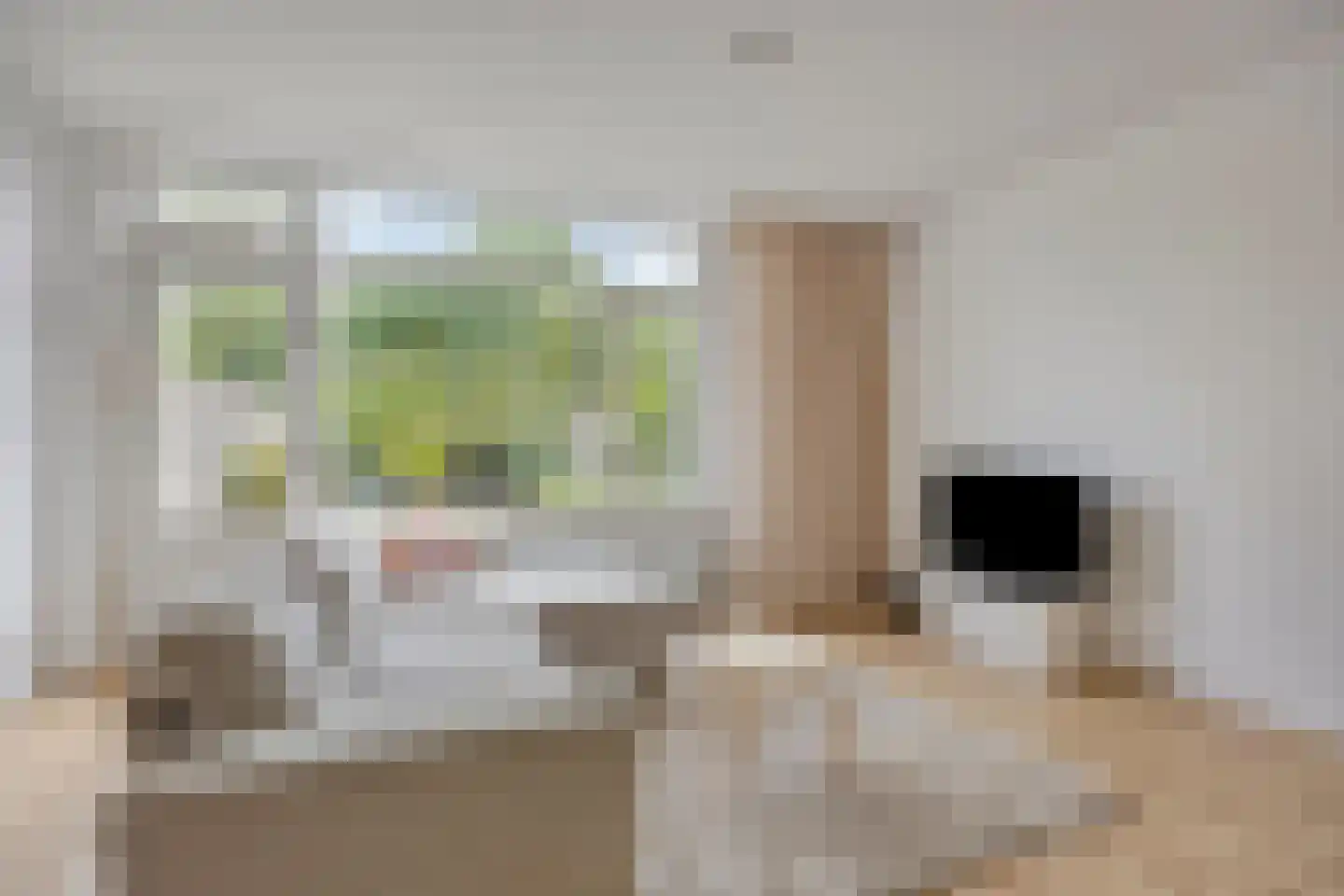 Hoogvliethof 17 Arnhem thumbnail 13