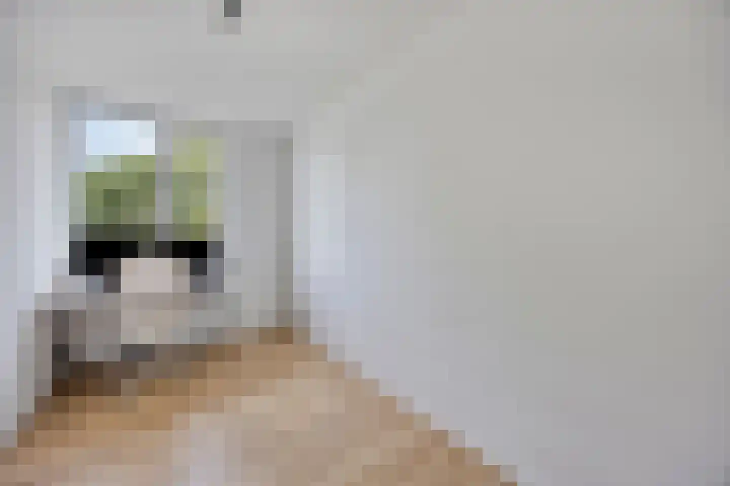 Hoogvliethof 17 Arnhem thumbnail 26