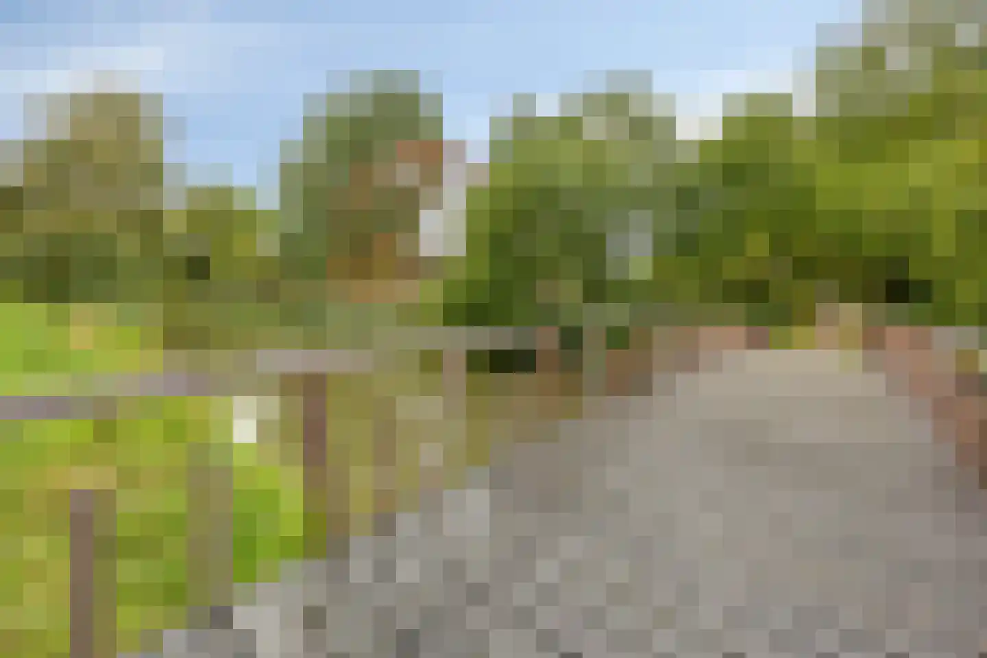 Hoogvliethof 17 Arnhem thumbnail 30