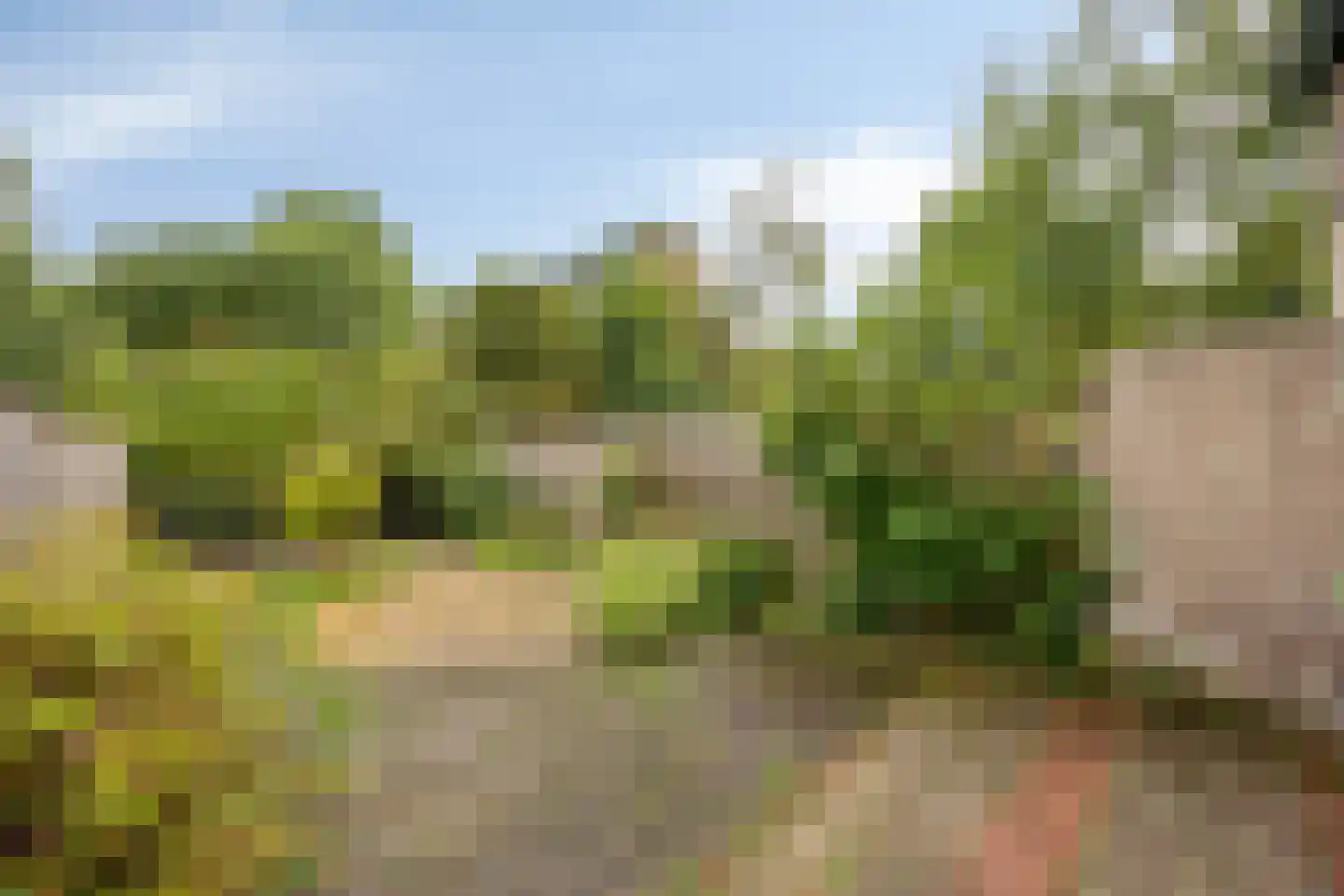 Hoogvliethof 17 Arnhem thumbnail 4