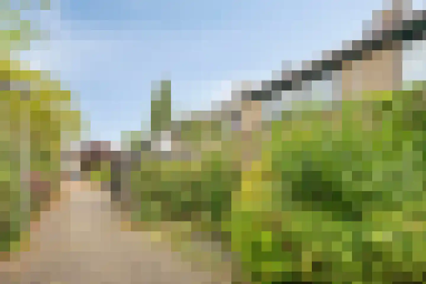 Hoogvliethof 17 Arnhem thumbnail 7