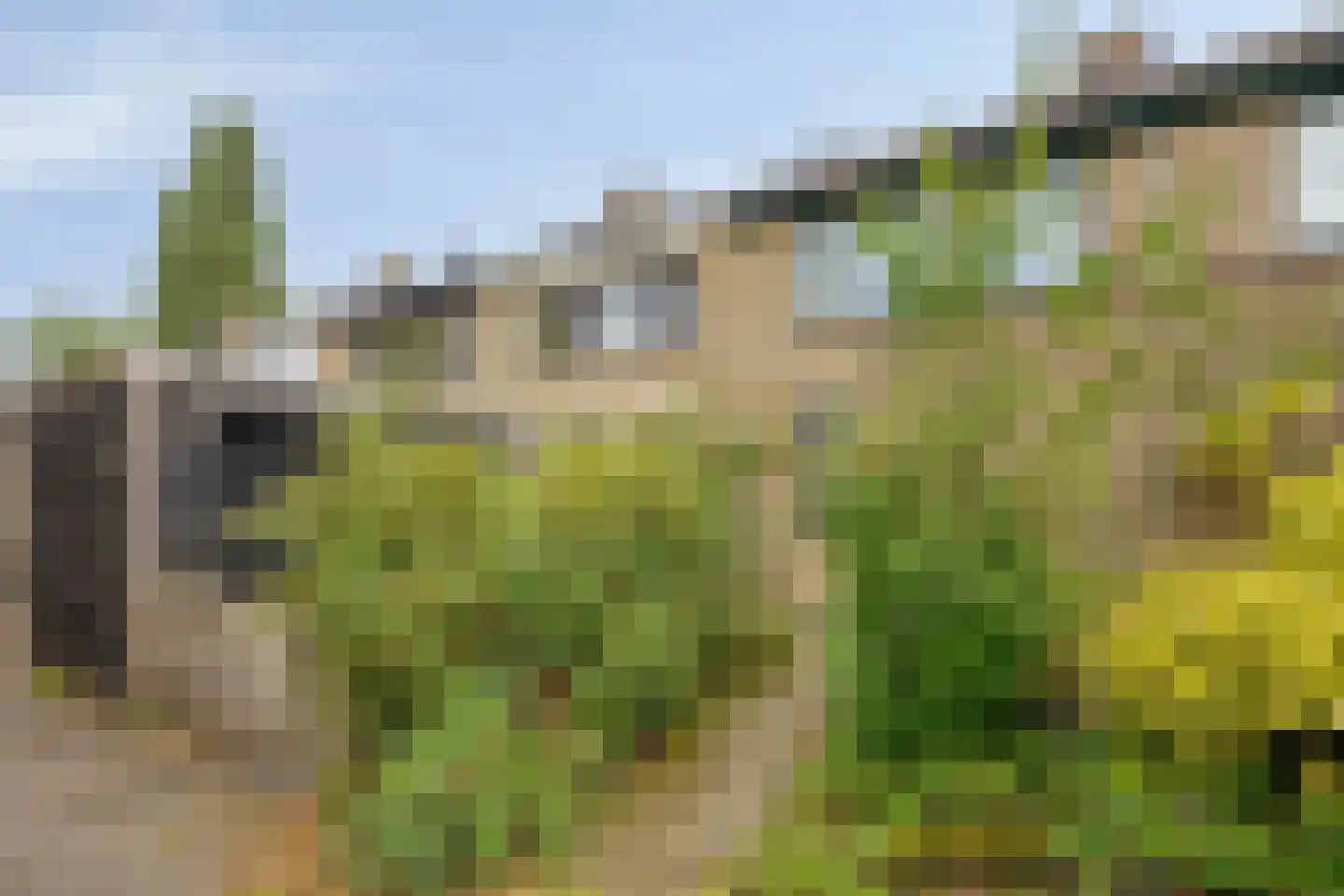 Hoogvliethof 17 Arnhem thumbnail 8