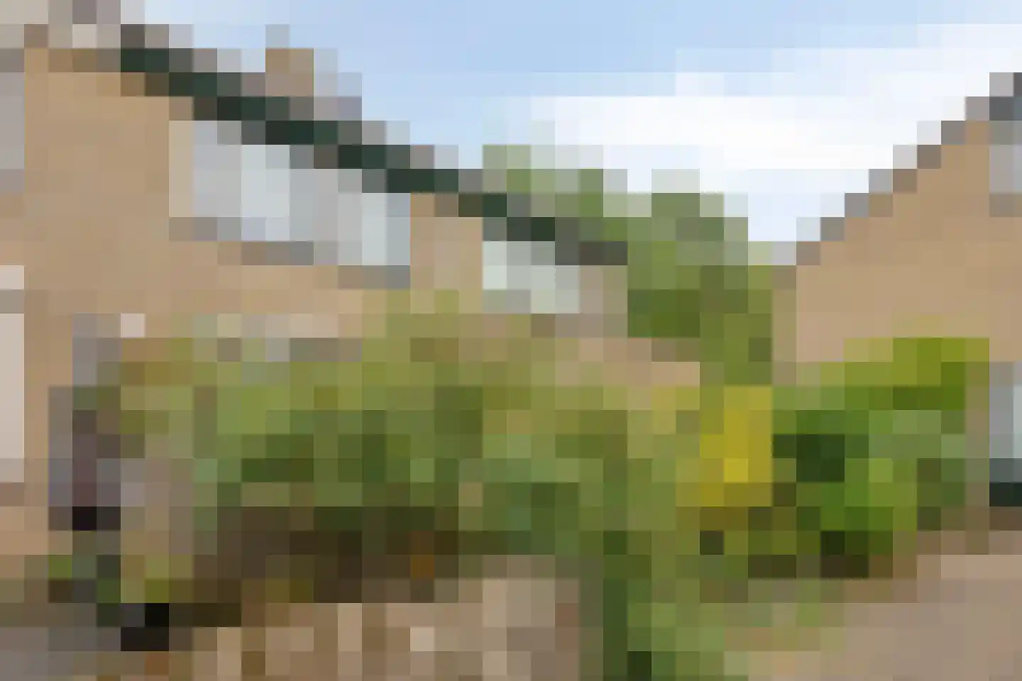 Hoogvliethof 17 Arnhem thumbnail 9