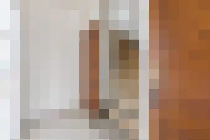 Hoogvliethof 25 Arnhem thumbnail 13
