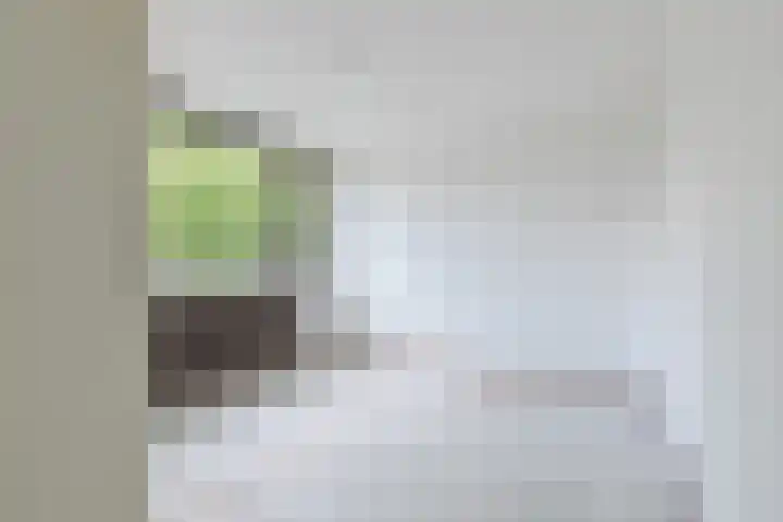 Hoogvliethof 25 Arnhem thumbnail 20