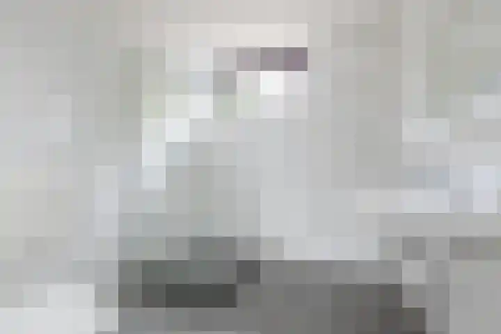 Hoogvliethof 25 Arnhem thumbnail 27