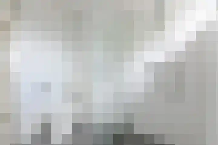 Hoogvliethof 25 Arnhem thumbnail 28