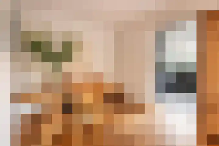 Hoogvlietkade 4 Rijsenhout thumbnail 12