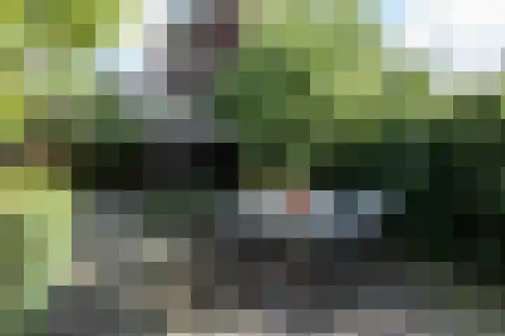 Hoogvlietkade 4 Rijsenhout thumbnail 32