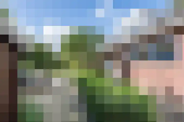 Hoogvlietkade 4 Rijsenhout thumbnail 34