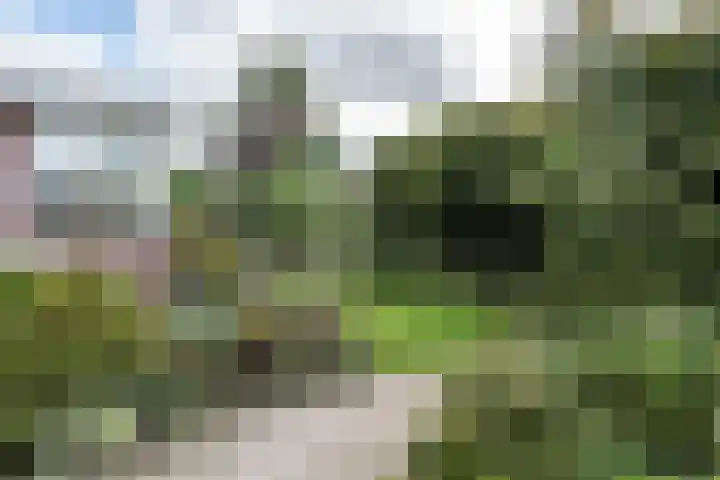 Hoogvlietkade 4 Rijsenhout thumbnail 35