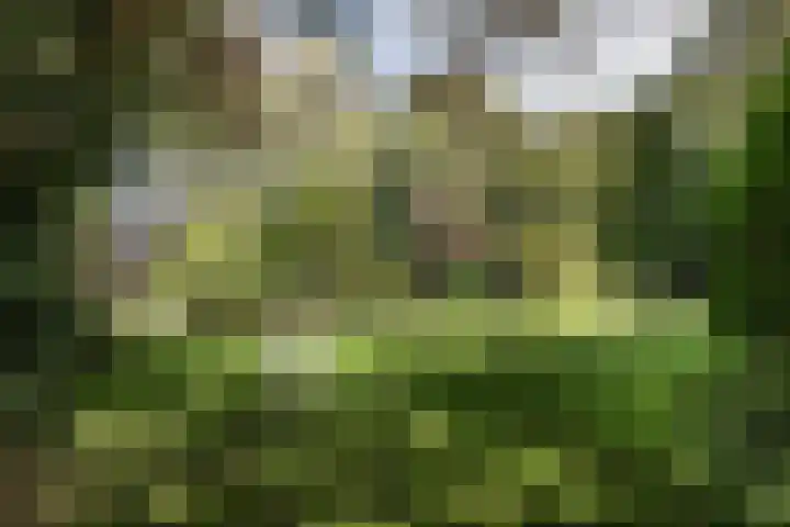 Hoogvlietkade 4 Rijsenhout thumbnail 38