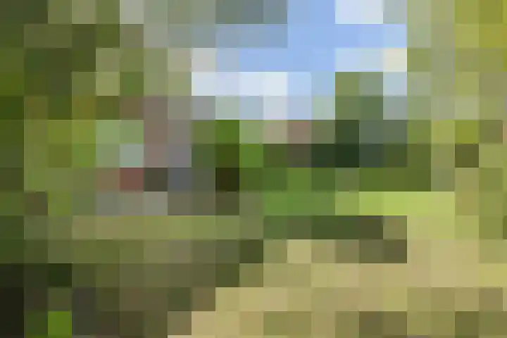 Hoogvlietkade 4 Rijsenhout thumbnail 39