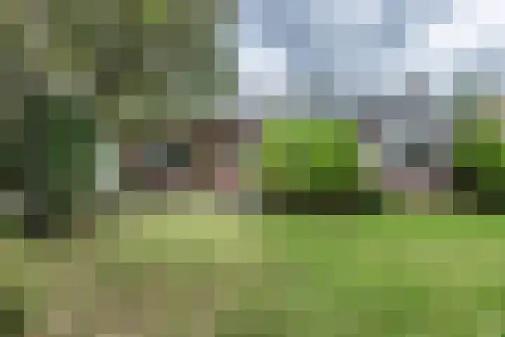 Hoogvlietkade 4 Rijsenhout thumbnail 40