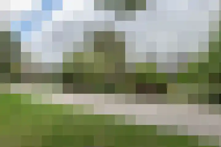 Hoogvlietkade 4 Rijsenhout thumbnail 49