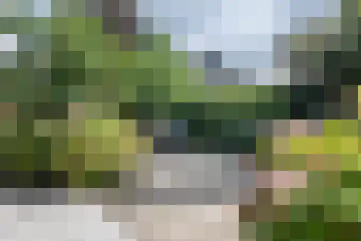 Hoogvlietkade 4 Rijsenhout thumbnail 5